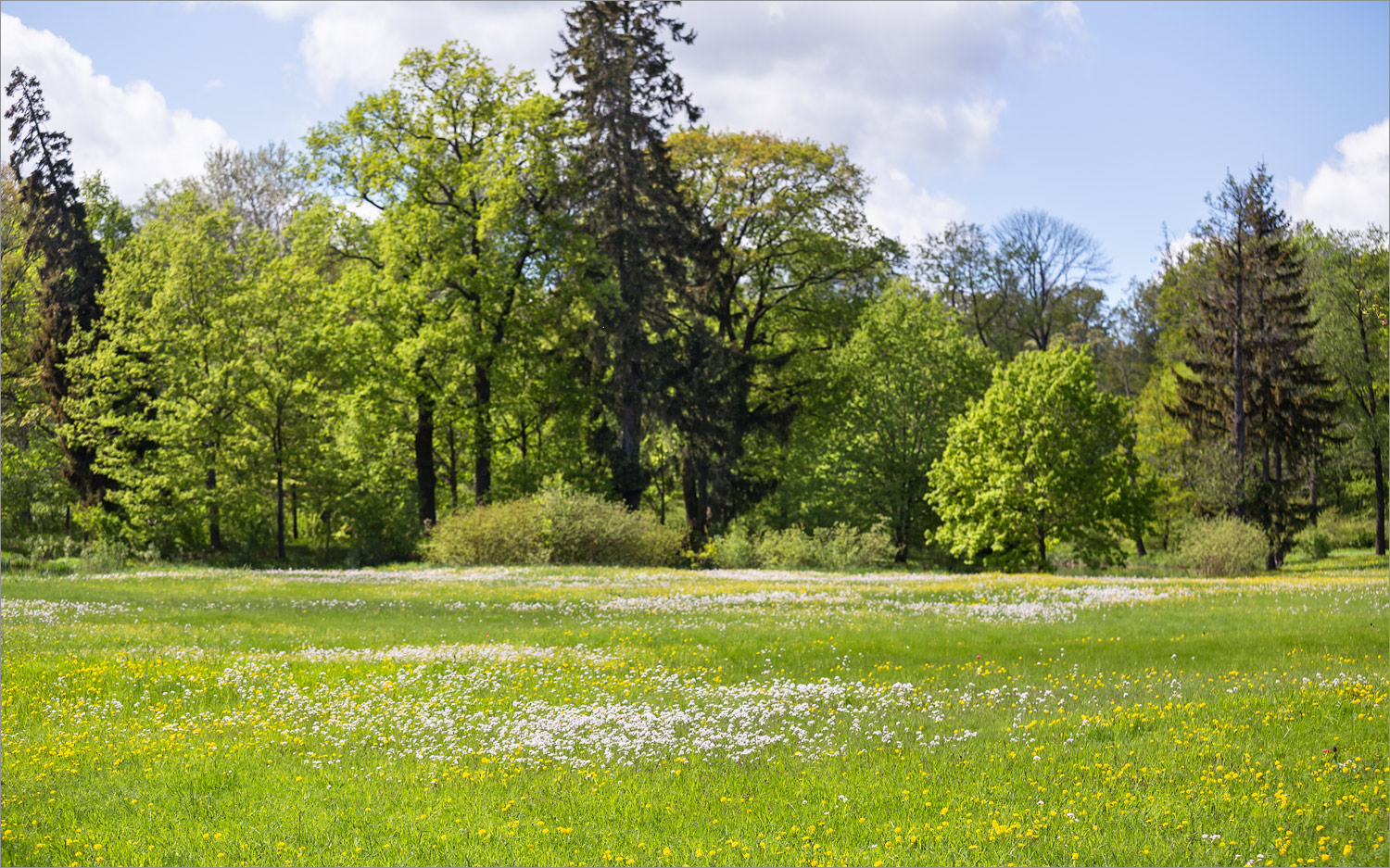 Парк "Александрия", image of landscape/habitat.