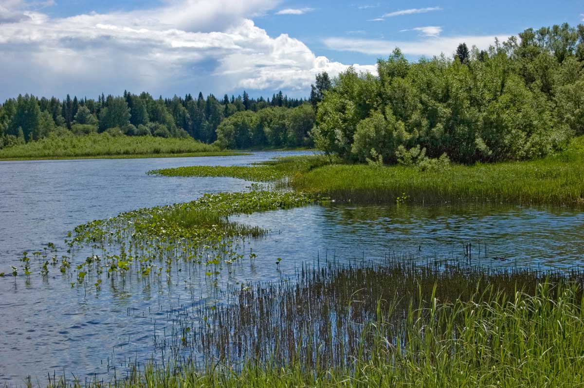 Окрестности урочища Тихий камень, image of landscape/habitat.