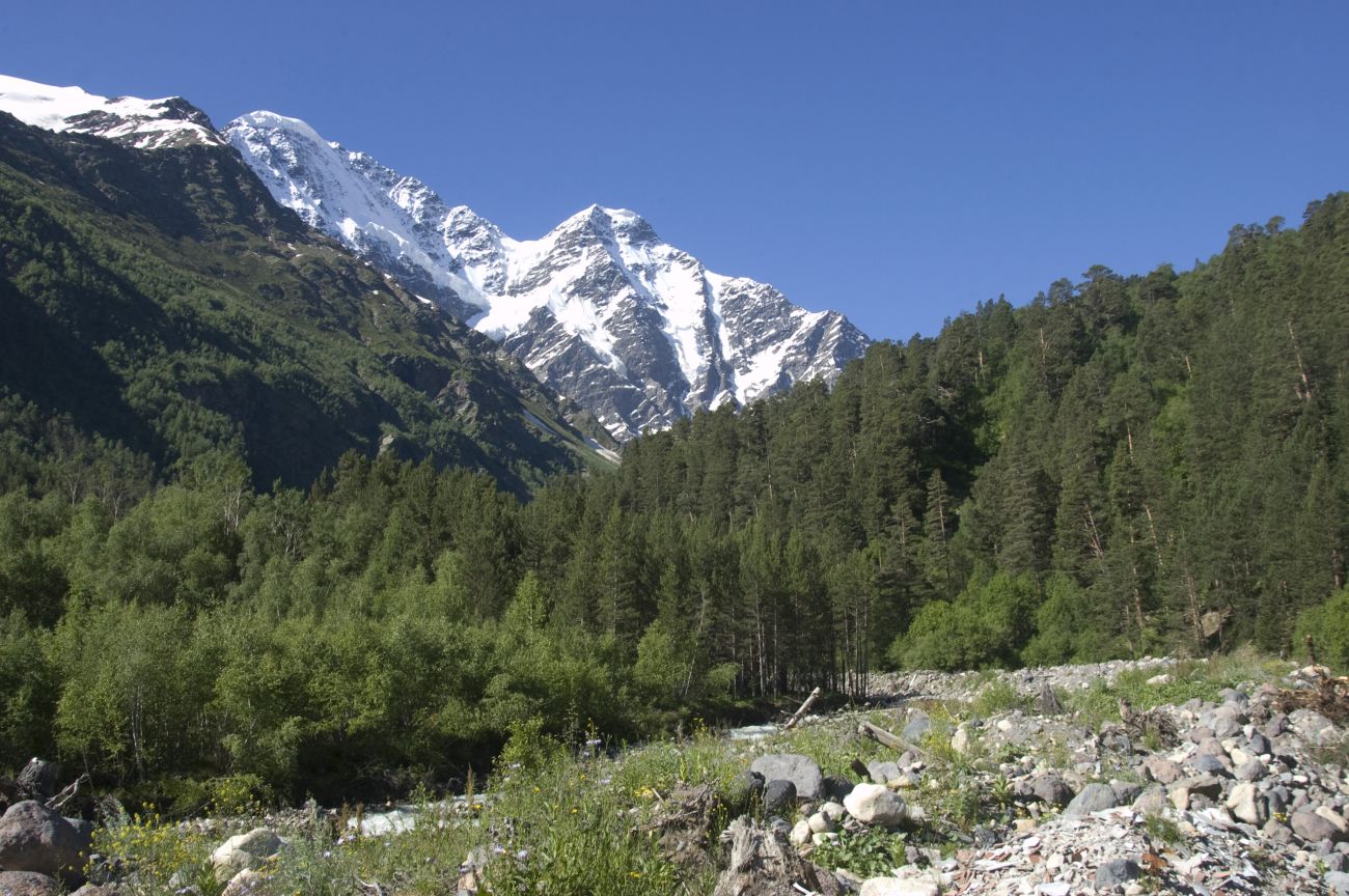 Долина реки Донгуз-Орун, image of landscape/habitat.