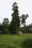 Куровское, image of landscape/habitat.