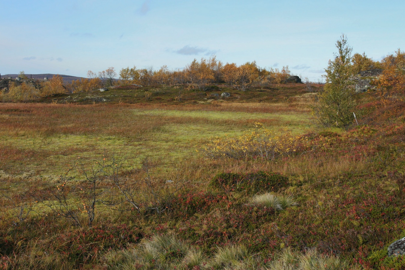 Горелая сопка, image of landscape/habitat.