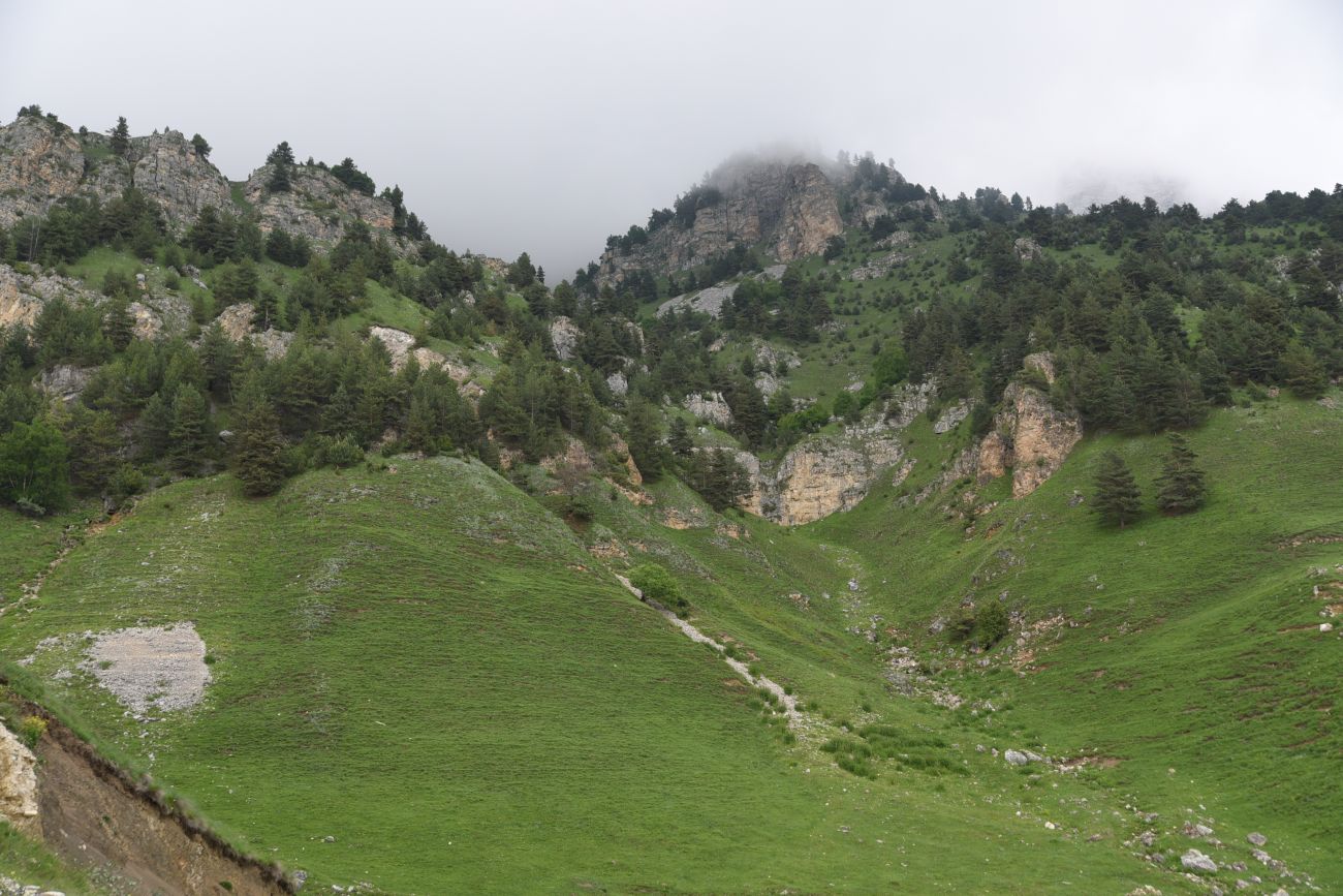 Окрестности урочища Мусиево, image of landscape/habitat.