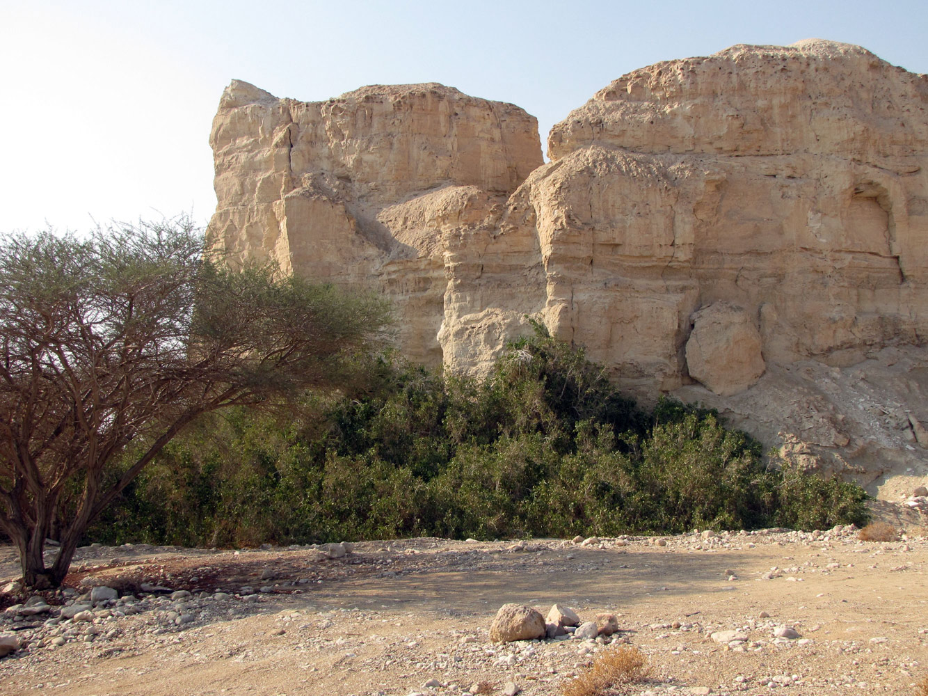 Нахаль Цын, image of landscape/habitat.