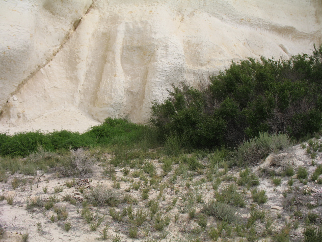 Ак-Кудук, image of landscape/habitat.