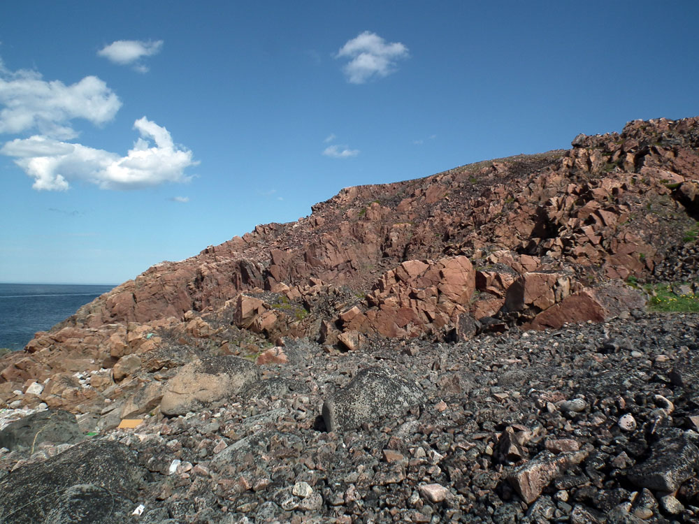 Дальние Зеленцы, image of landscape/habitat.