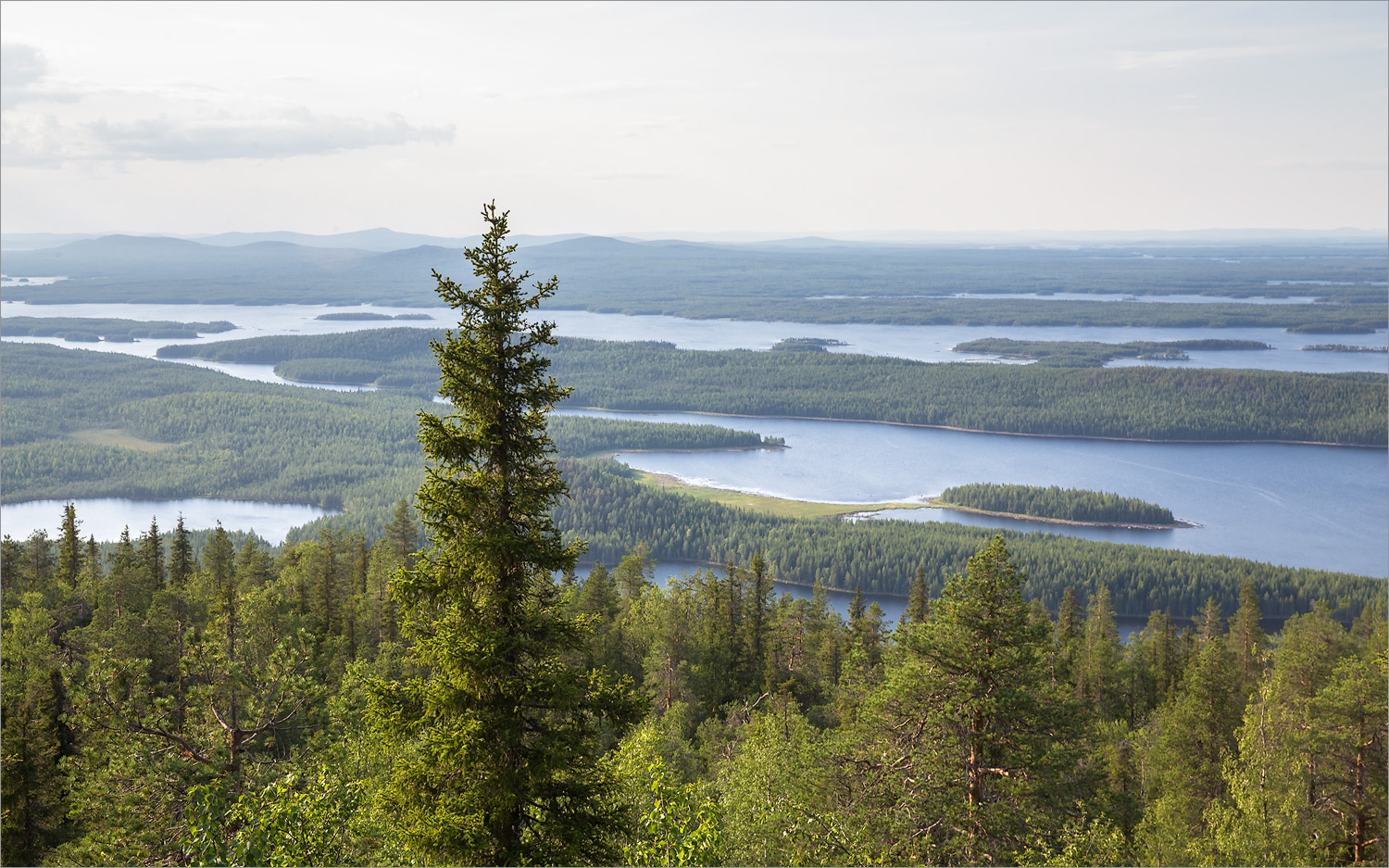 Иванова гора, image of landscape/habitat.