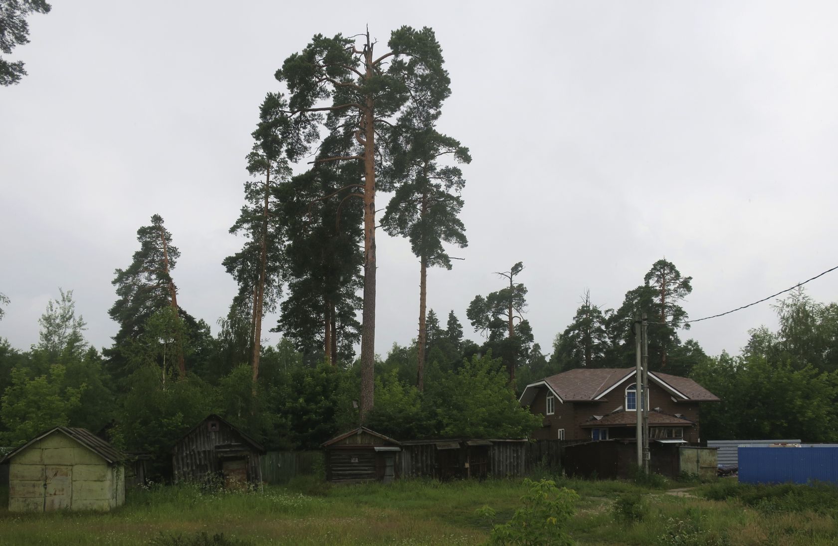 Куровское, image of landscape/habitat.