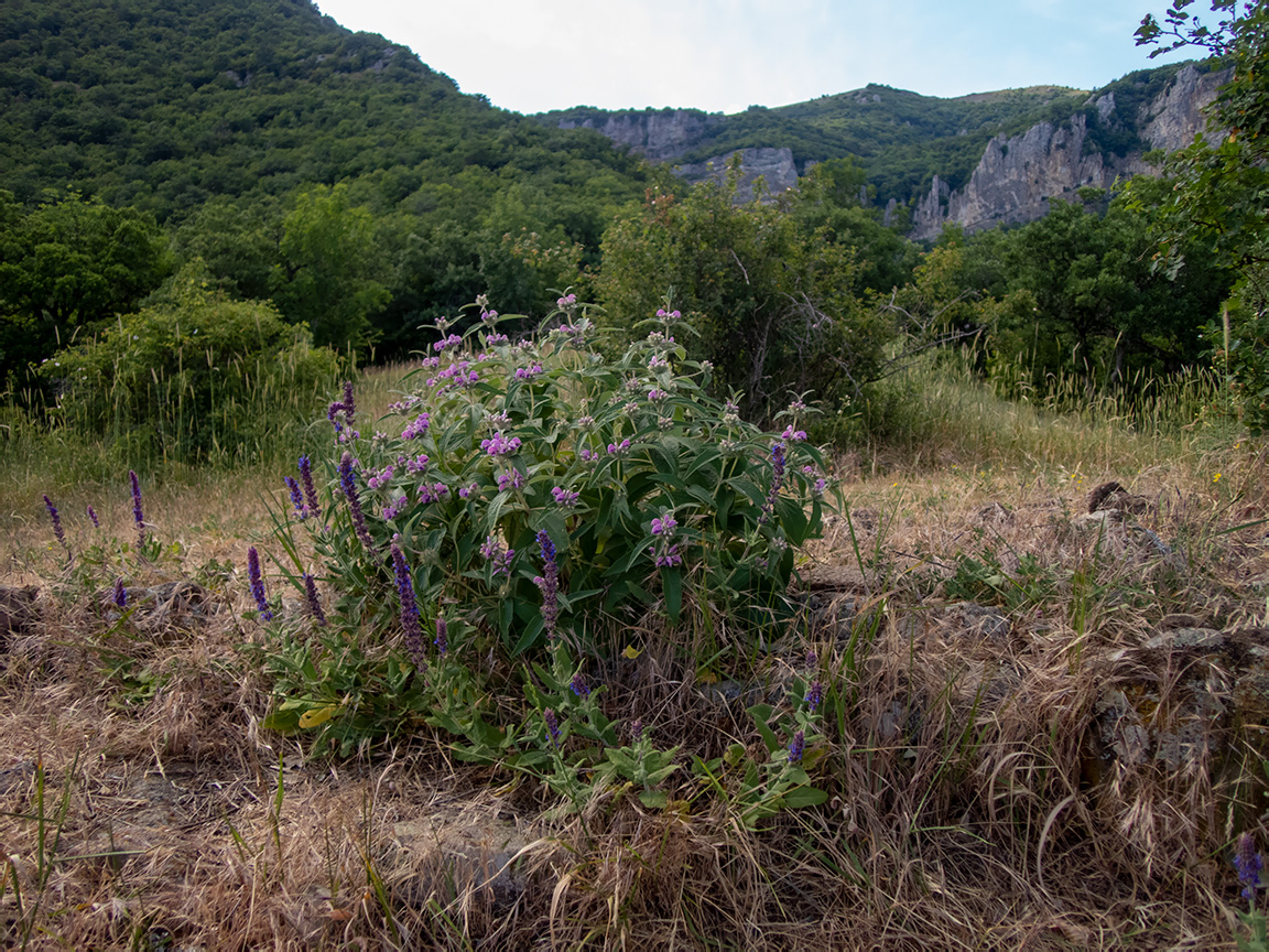 Долина реки Сотера, image of landscape/habitat.