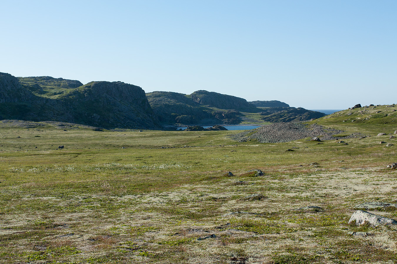 Подпахтинская губа, image of landscape/habitat.