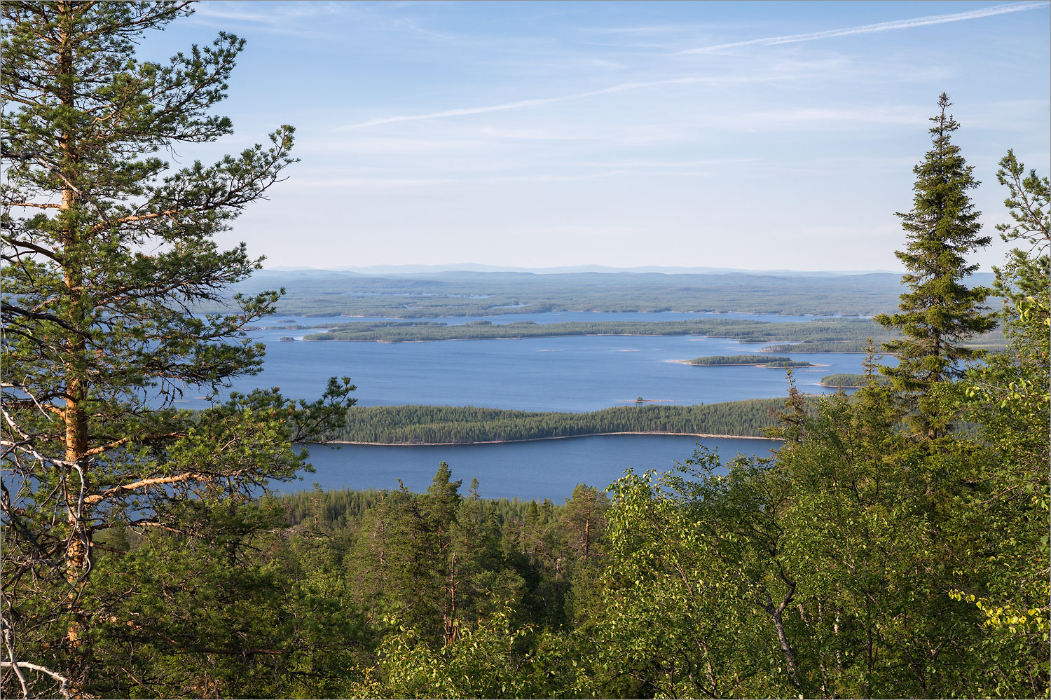 Иванова гора, image of landscape/habitat.