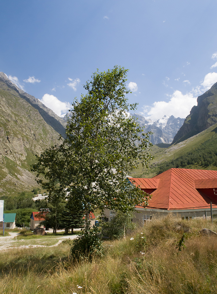 Альплагерь "Безенги", image of landscape/habitat.