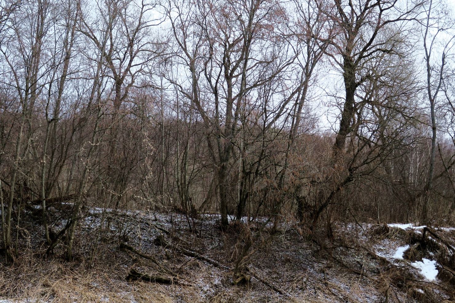 Малоярославец и окрестности, image of landscape/habitat.