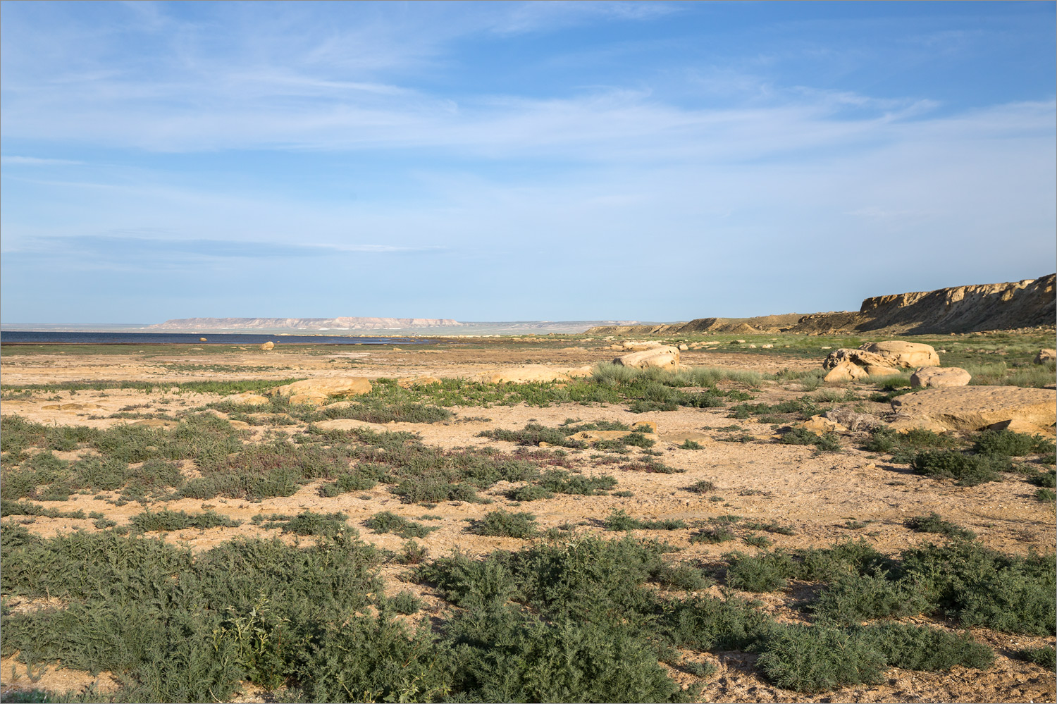 Залив Сарыташ, image of landscape/habitat.