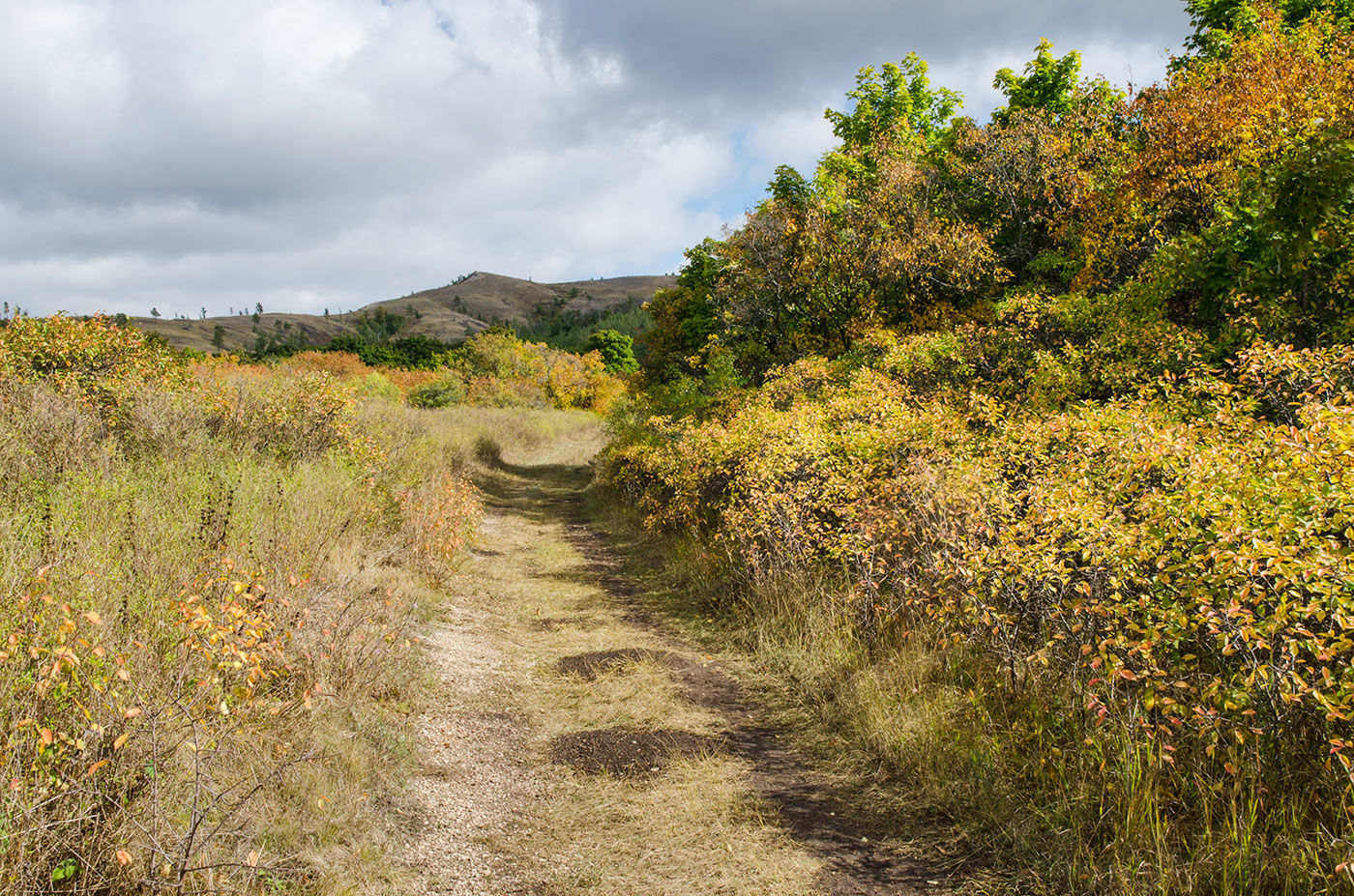 Молодецкий курган, image of landscape/habitat.