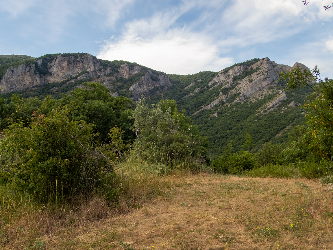 Долина реки Сотера, image of landscape/habitat.