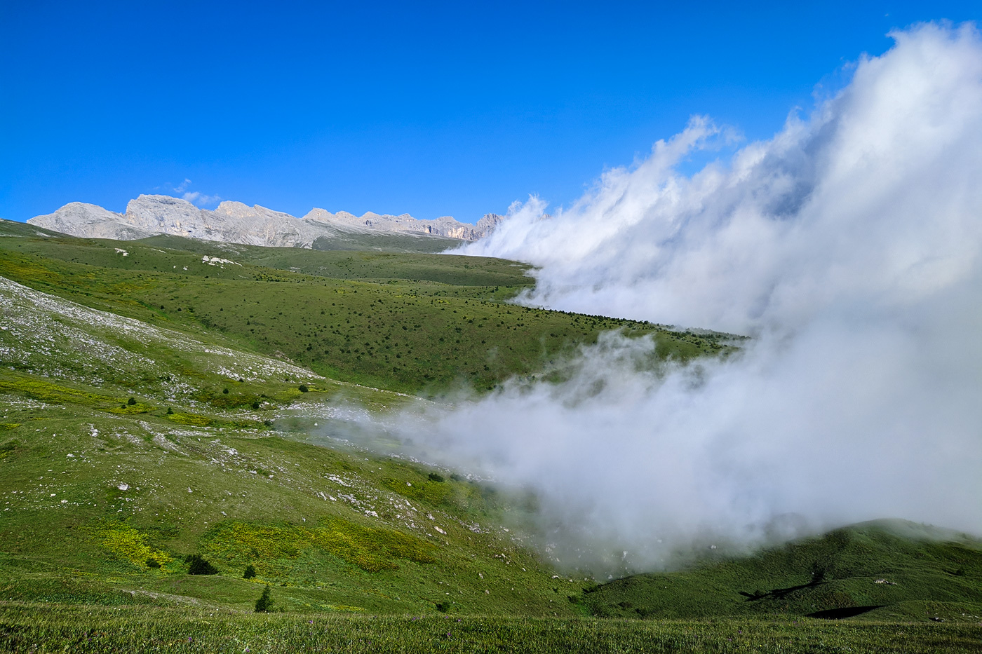 Ходский перевал, image of landscape/habitat.