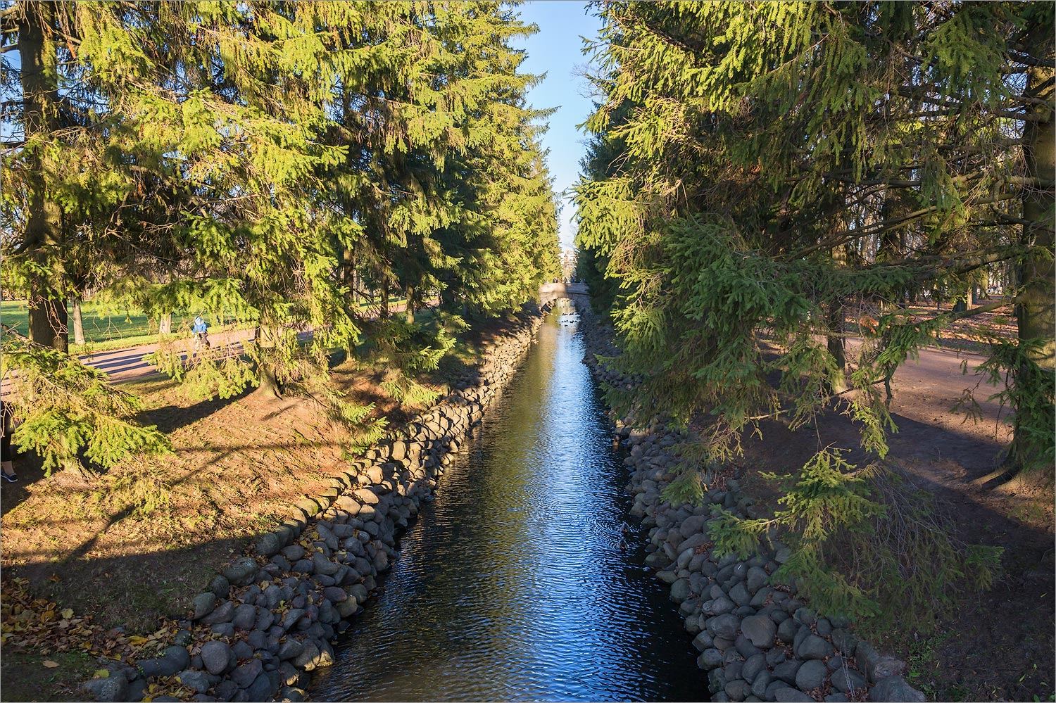 Город Пушкин, image of landscape/habitat.