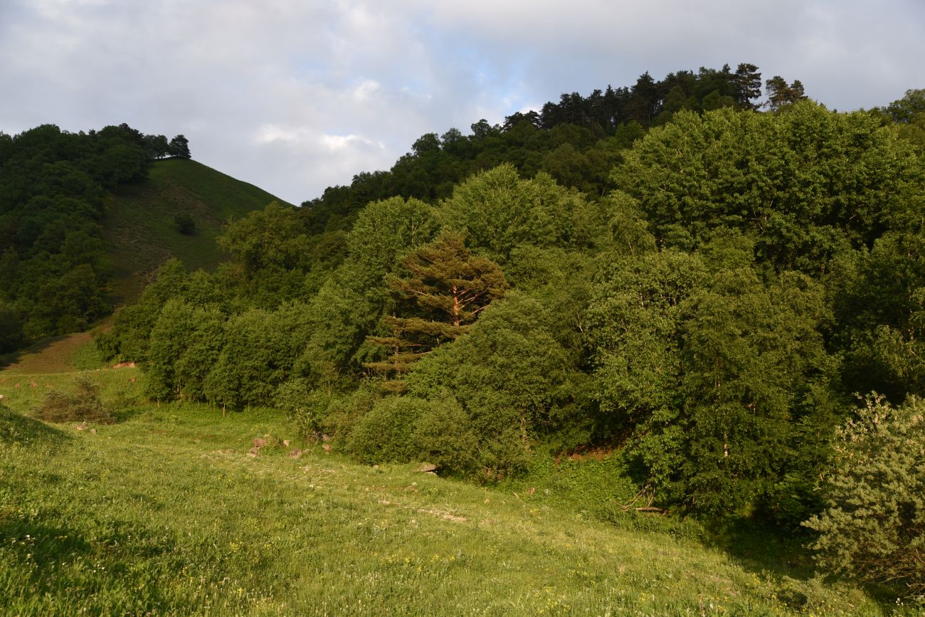 Окрестности урочища Ний, image of landscape/habitat.