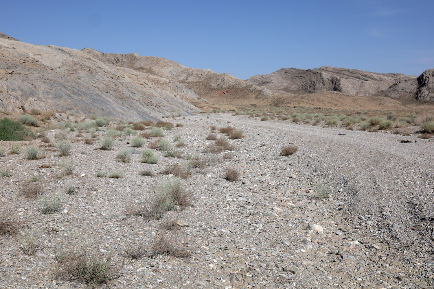 Тамдытау, image of landscape/habitat.