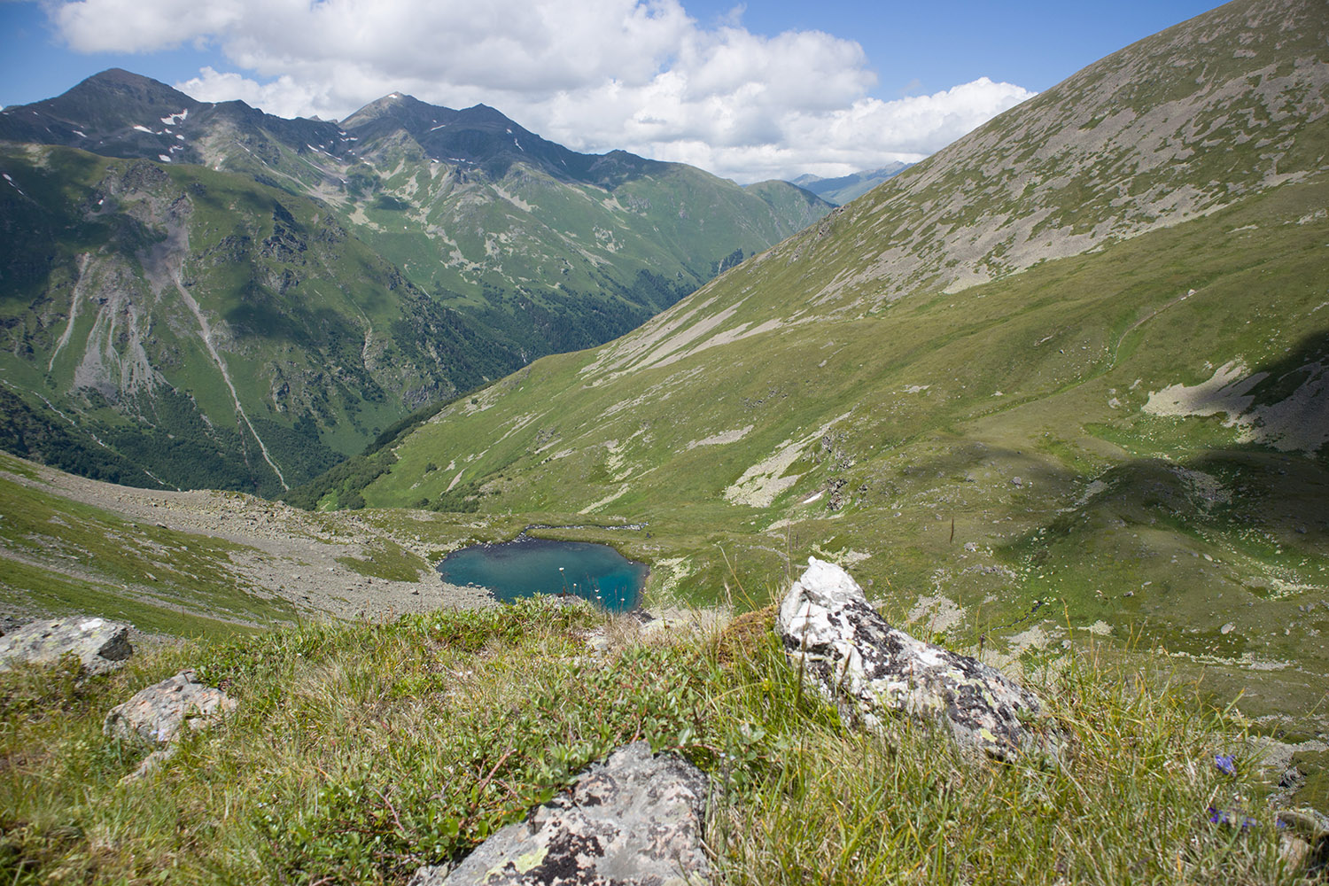 Долина Тихого ручья, image of landscape/habitat.