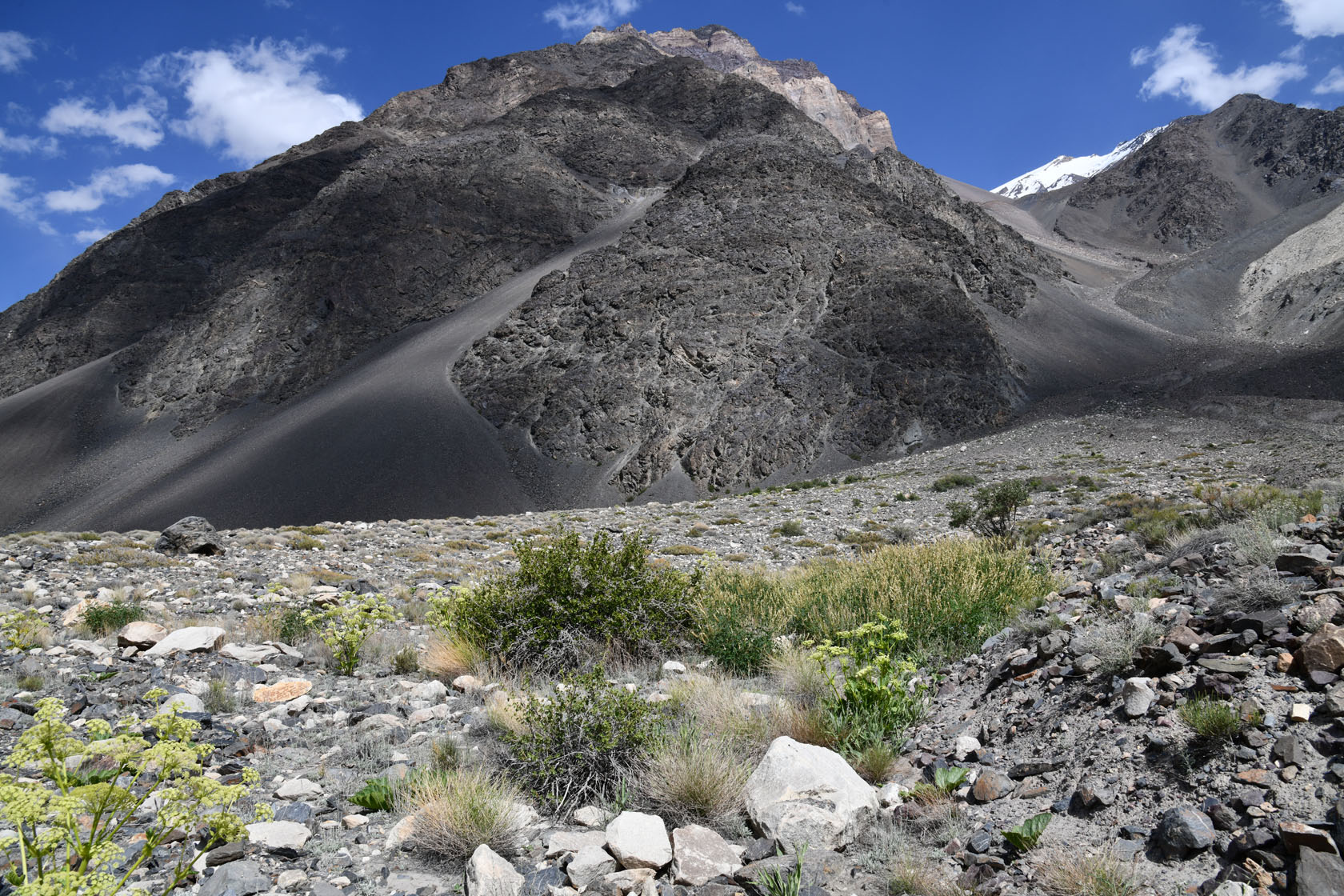 Танымас, image of landscape/habitat.