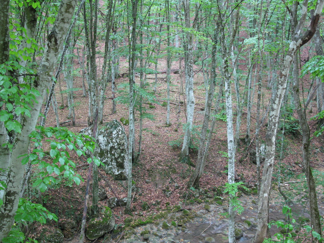 Большой каньон Крыма, image of landscape/habitat.