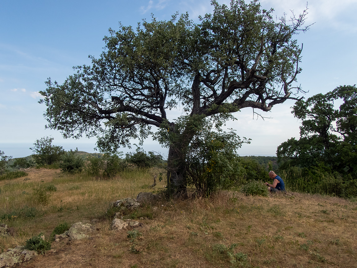 Долина реки Сотера, image of landscape/habitat.