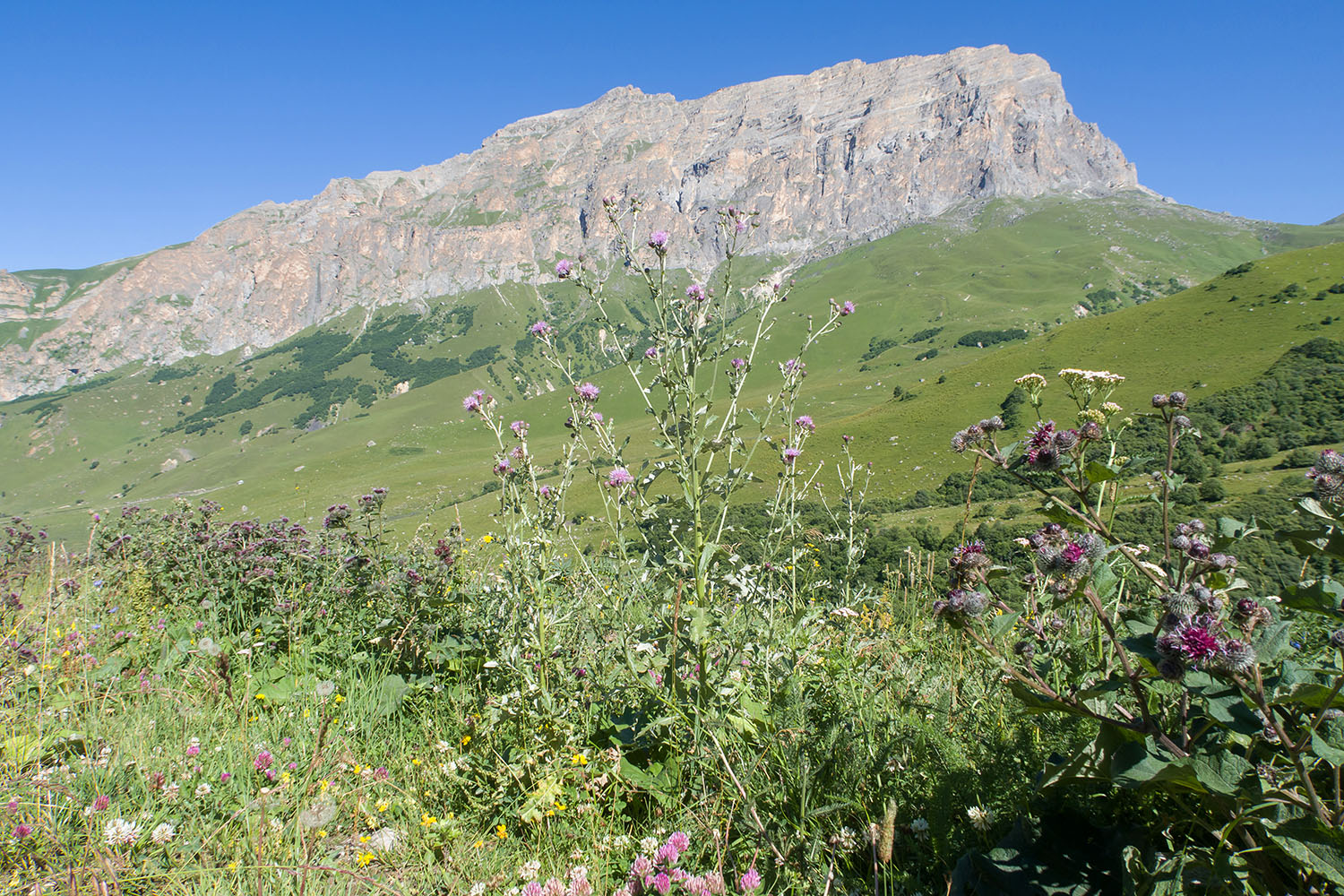 Перевал Северный Курноят, image of landscape/habitat.