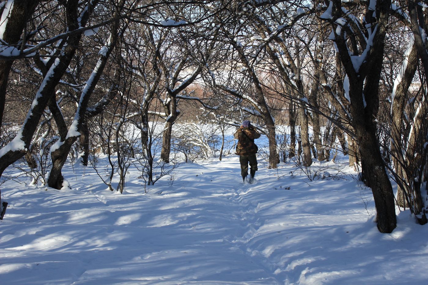 Окрестности с. Жабаглы, image of landscape/habitat.