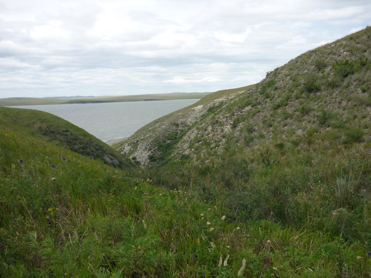 Озеро Ножий, image of landscape/habitat.