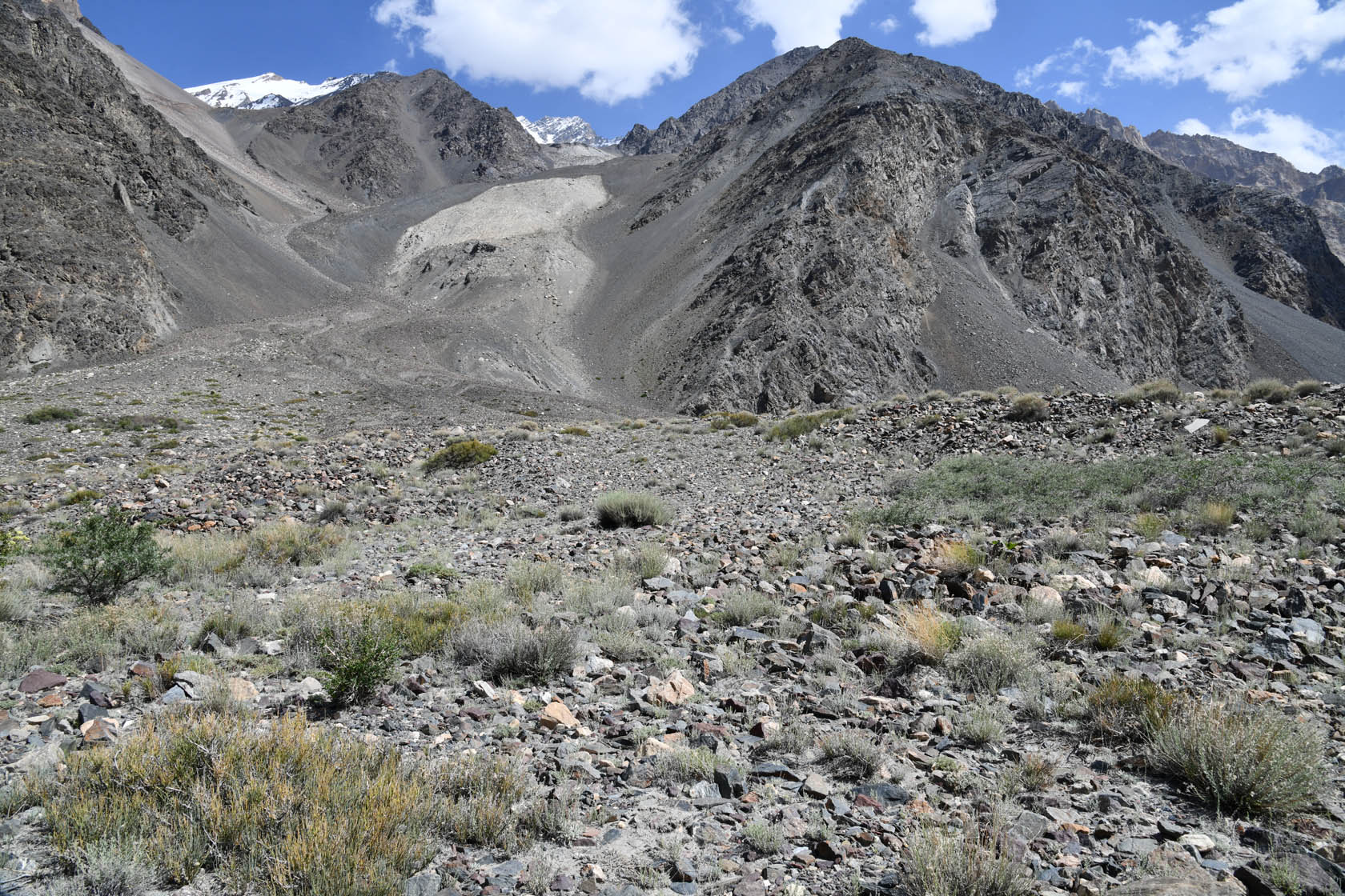 Танымас, image of landscape/habitat.