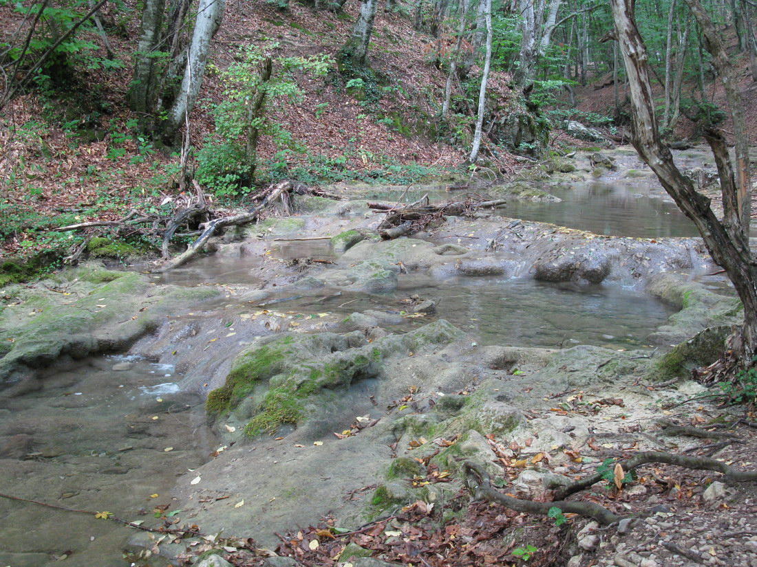 Большой каньон Крыма, image of landscape/habitat.