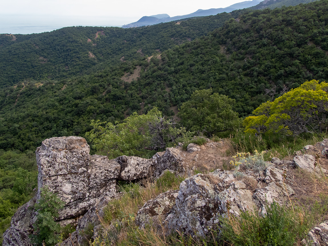 Долина реки Сотера, image of landscape/habitat.