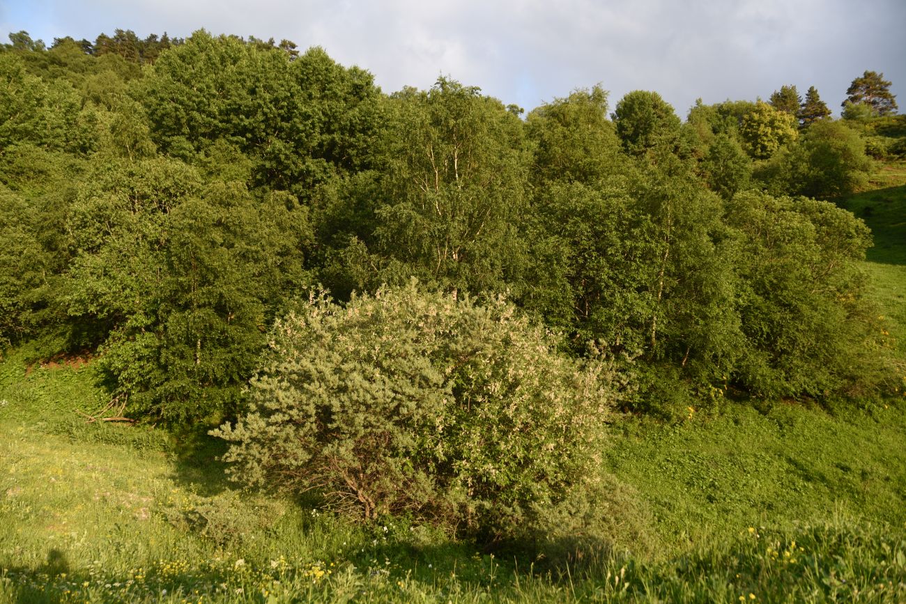 Окрестности урочища Ний, image of landscape/habitat.