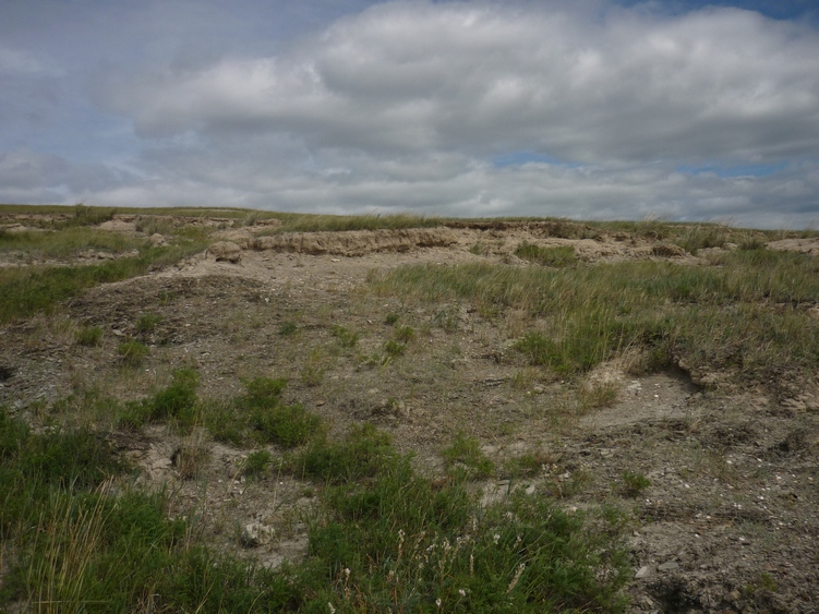 Озеро Ножий, image of landscape/habitat.