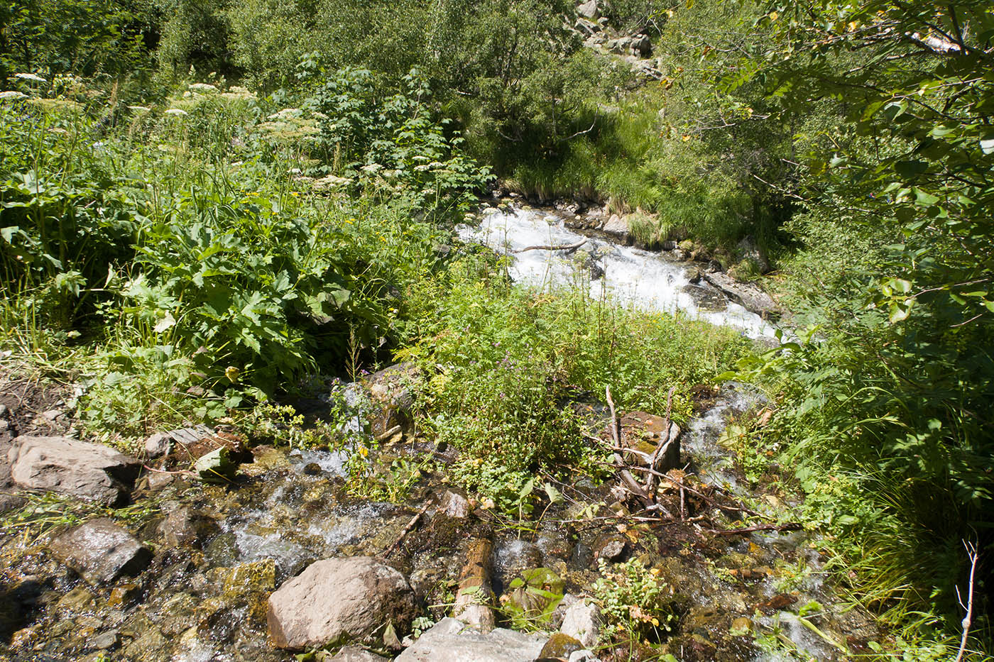 Имеретинское ущелье, изображение ландшафта.