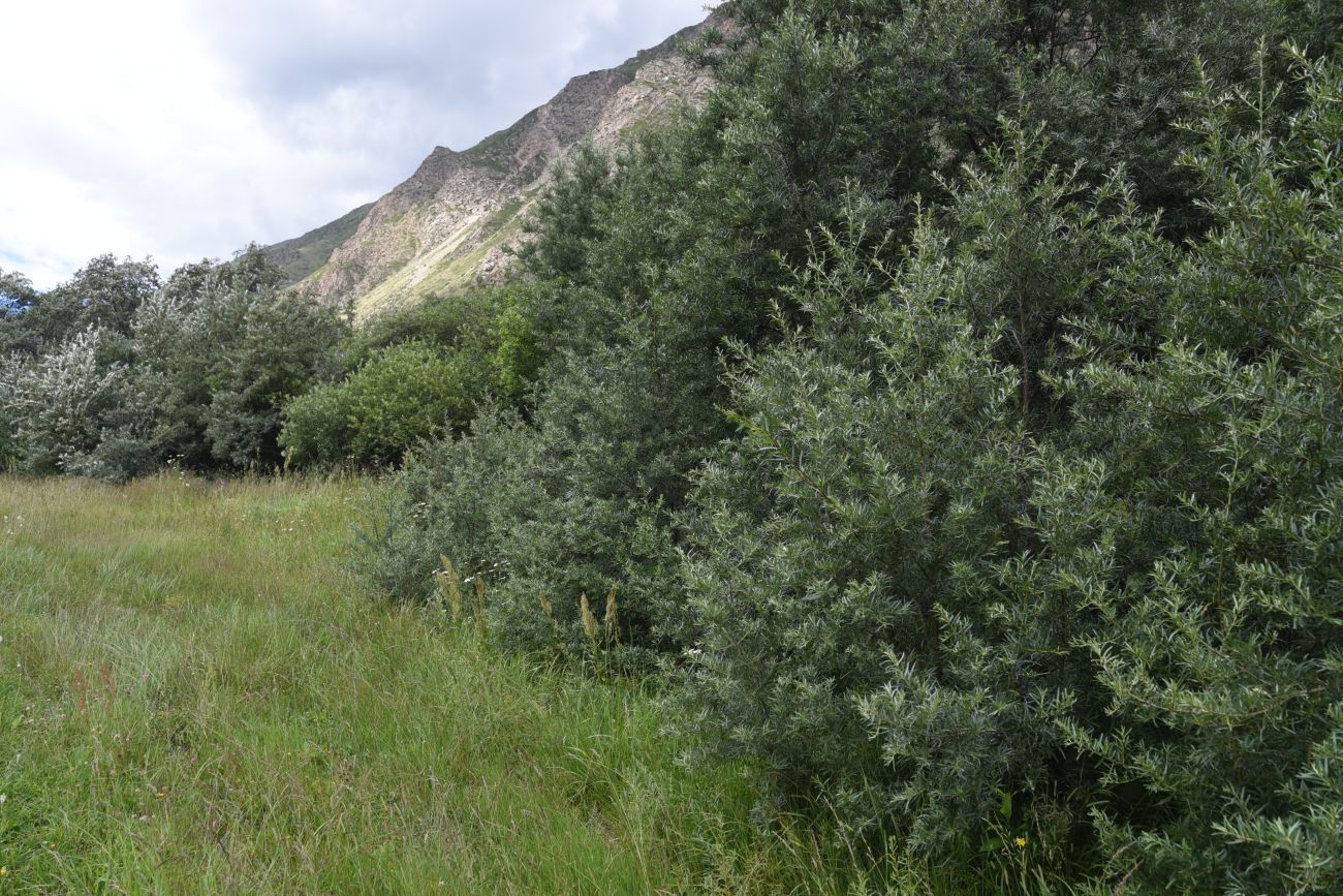 Памятник первовосходителям, image of landscape/habitat.