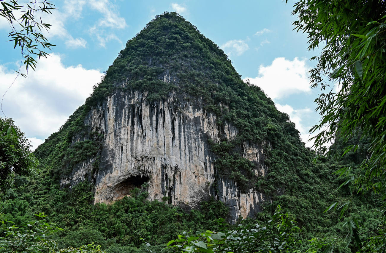 Окрестности деревни Фэнлоу, image of landscape/habitat.