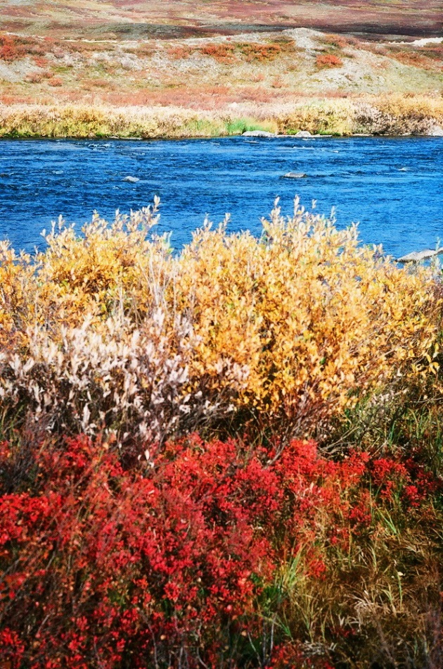 Желанный, image of landscape/habitat.