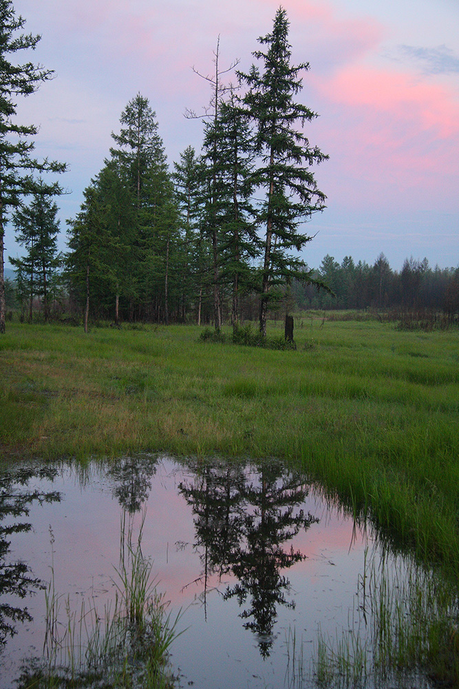 Окрестности Северного, image of landscape/habitat.