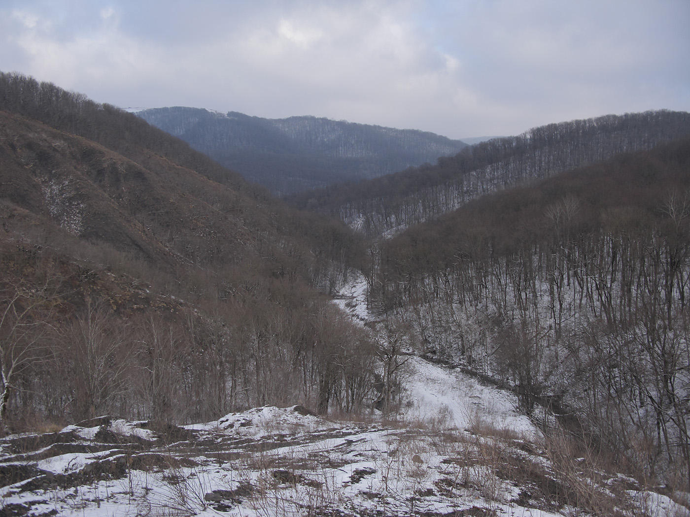 Чугунка, image of landscape/habitat.