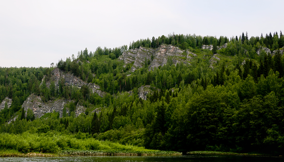 Низовья и устье Койвы, изображение ландшафта.