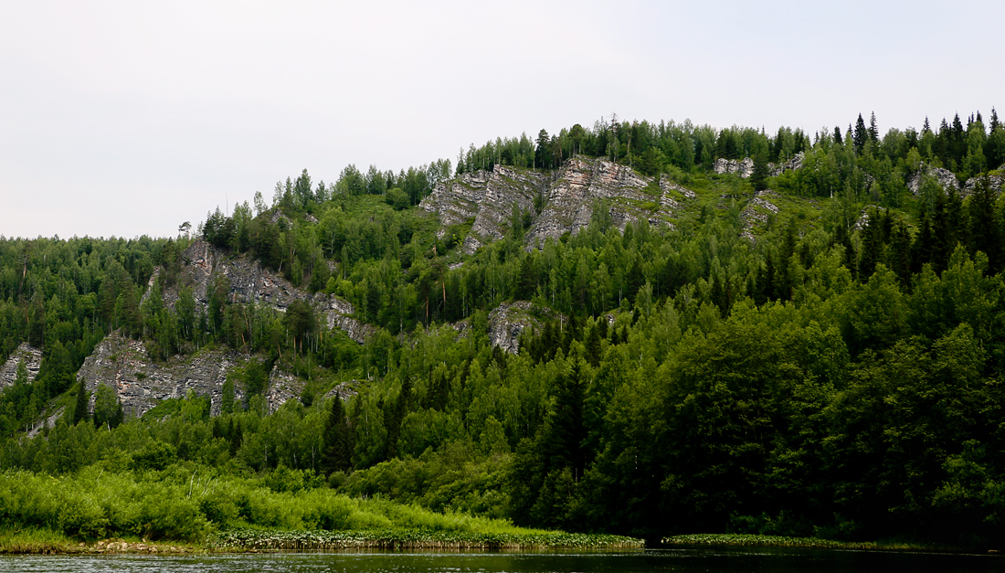 Низовья и устье Койвы, image of landscape/habitat.