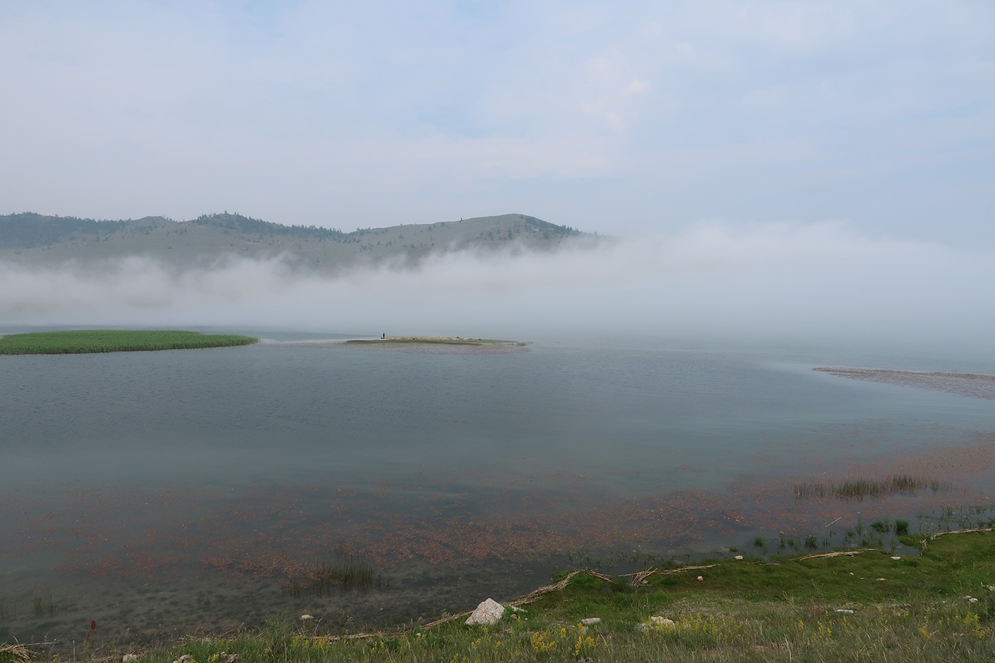 Тажеранская степь, image of landscape/habitat.