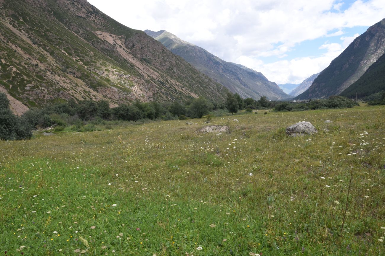 Памятник первовосходителям, image of landscape/habitat.