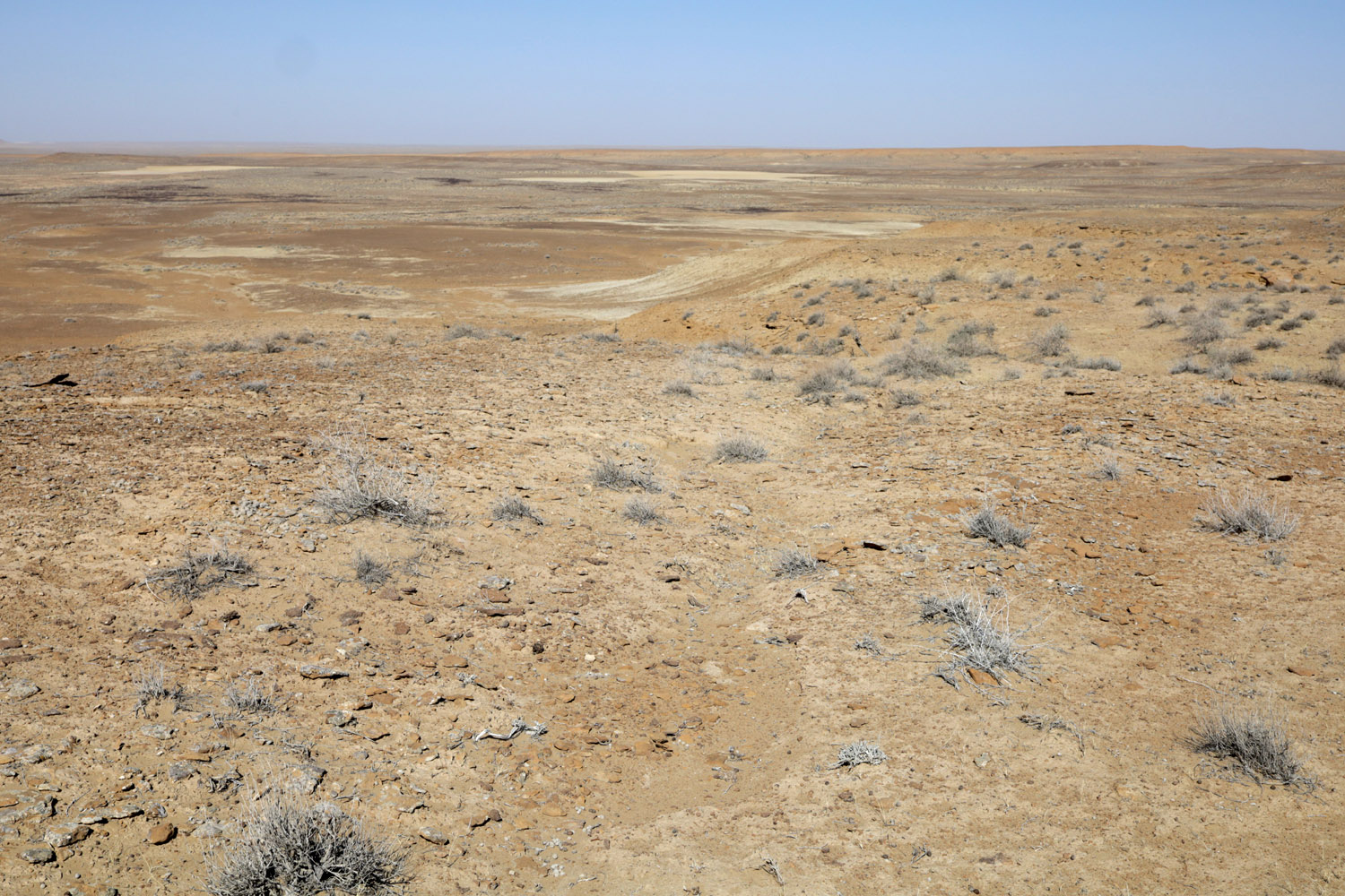 Окрестности посёлка Джангельды, image of landscape/habitat.