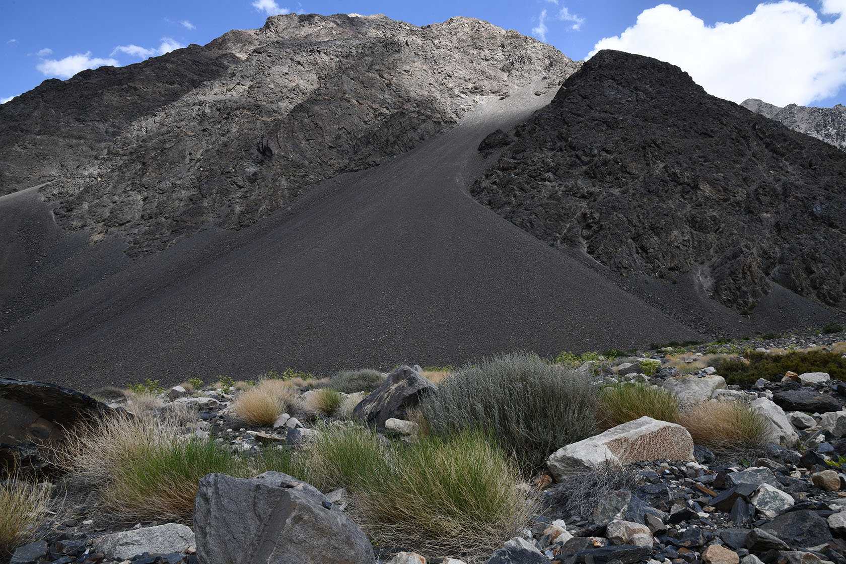 Танымас, image of landscape/habitat.