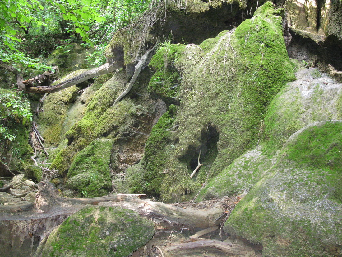 Большой каньон Крыма, image of landscape/habitat.