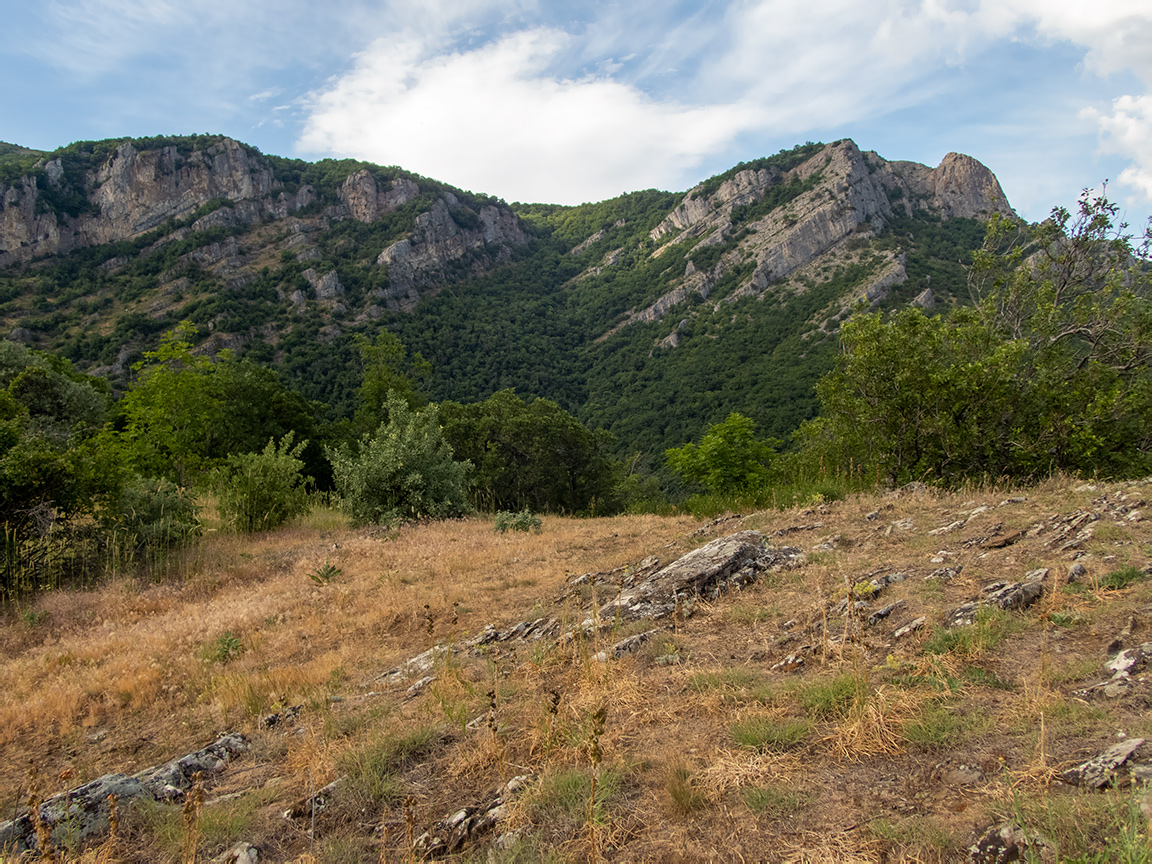 Долина реки Сотера, image of landscape/habitat.