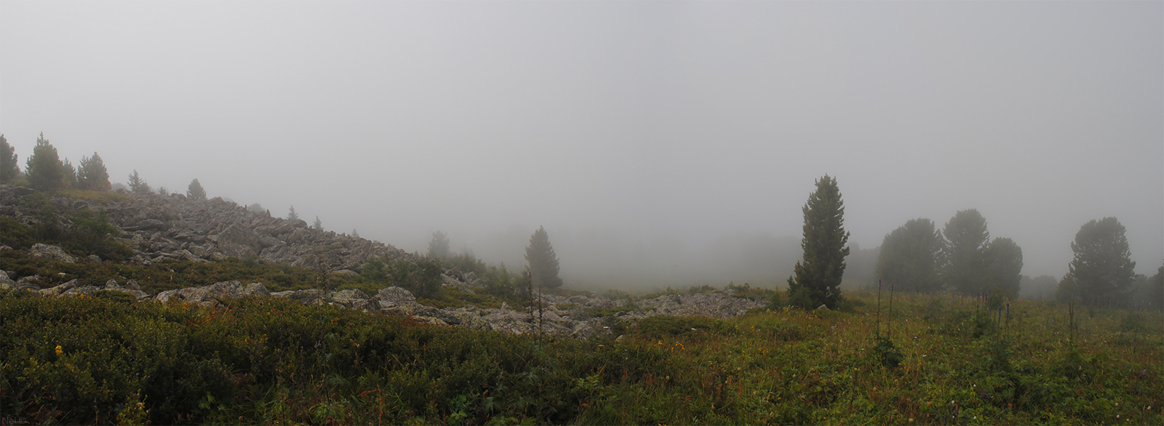 Гора Сарлык, image of landscape/habitat.